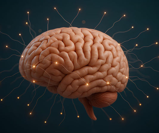 6 Fun Activities That Will Make You Smarter