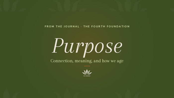 The Fourth Foundation: Purpose, Connection, and the Aging Brain