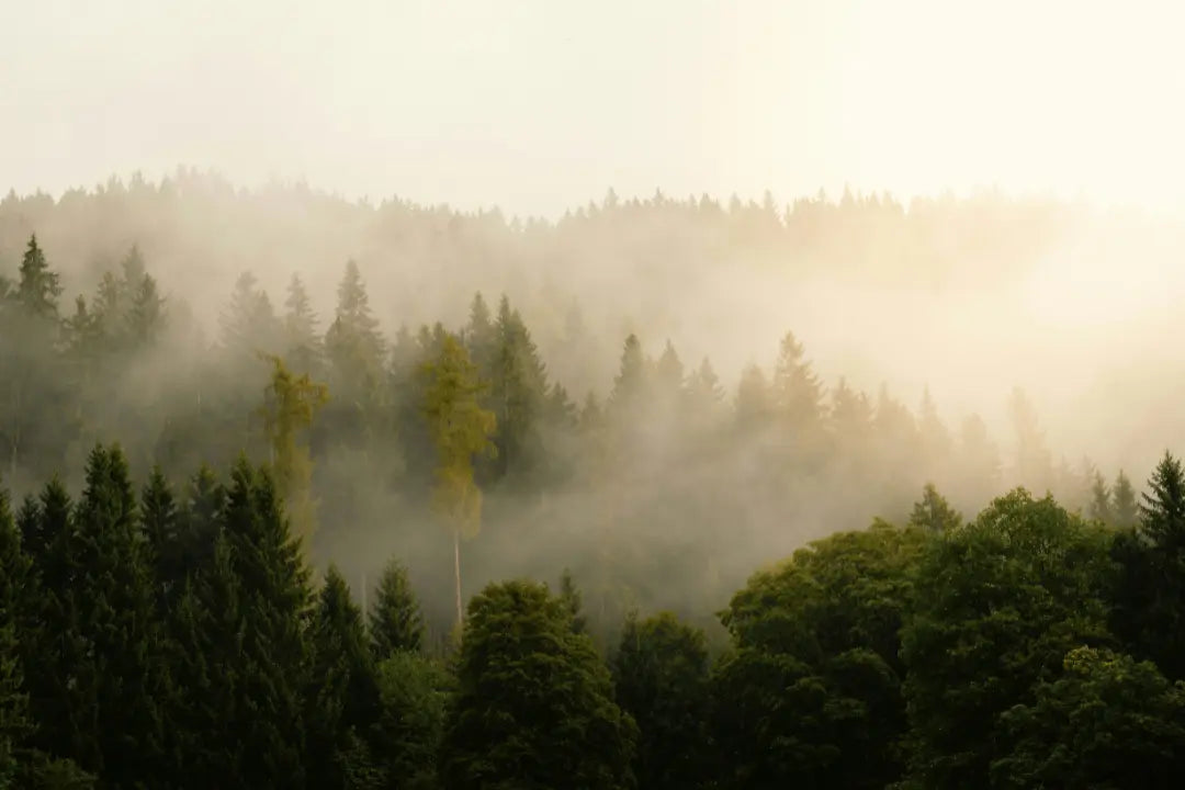 How to Beat Brain Fog Naturally