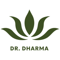 The Dr. Dharma Team
