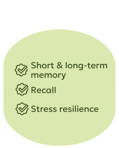 Memory Care drdharma.com